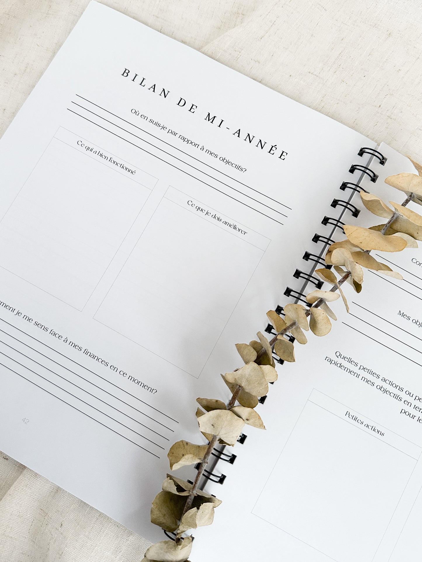 Planificateur financier Sauge | Cahier de gestion des finances personnelles et de suivi du budget