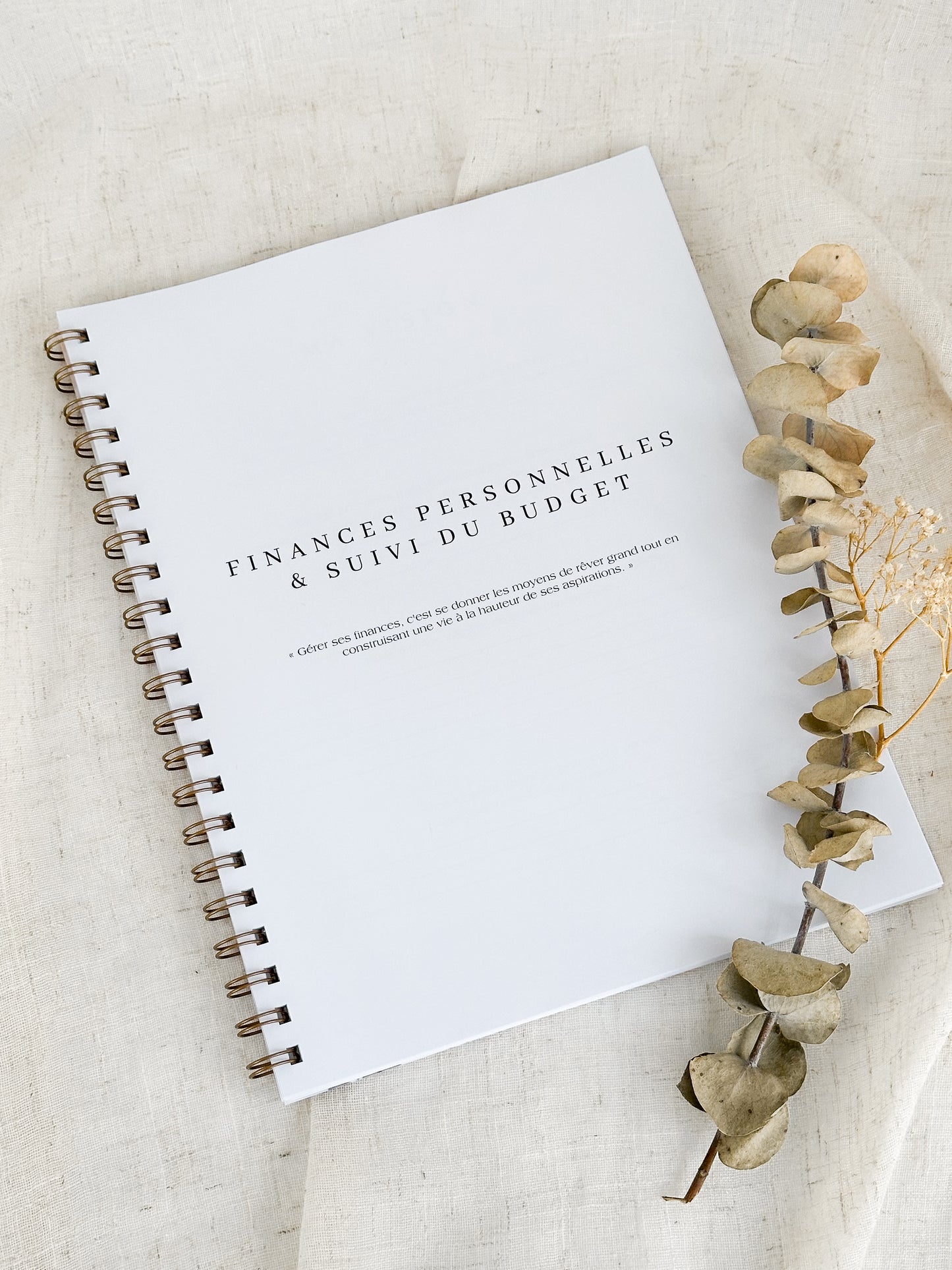 Planificateur financier Sauge | Cahier de gestion des finances personnelles et de suivi du budget