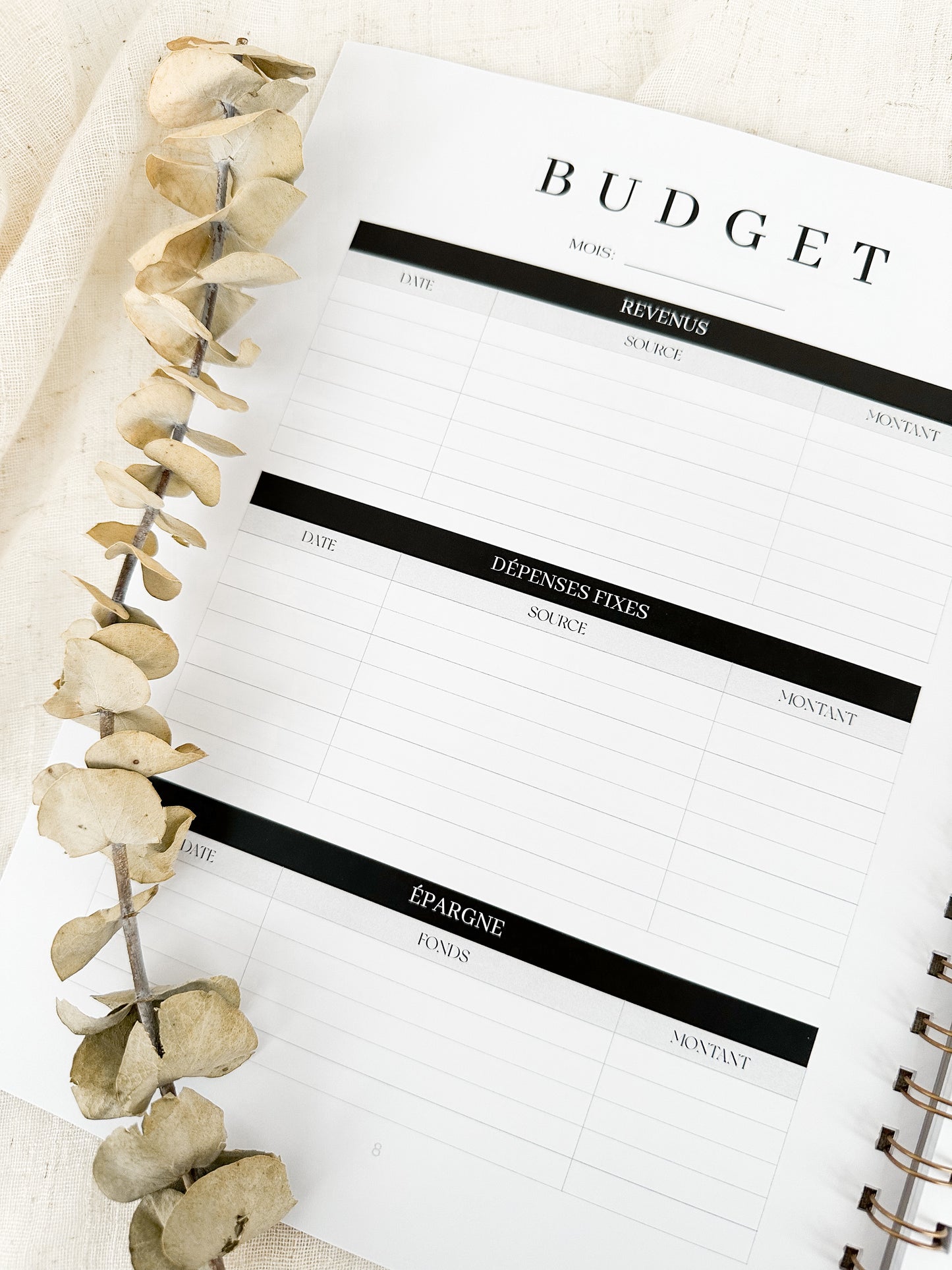 Planificateur financier Sauge | Cahier de gestion des finances personnelles et de suivi du budget
