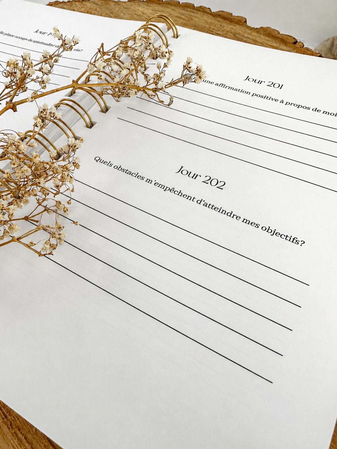 Journal de gratitude et de réflexions Porcelaine