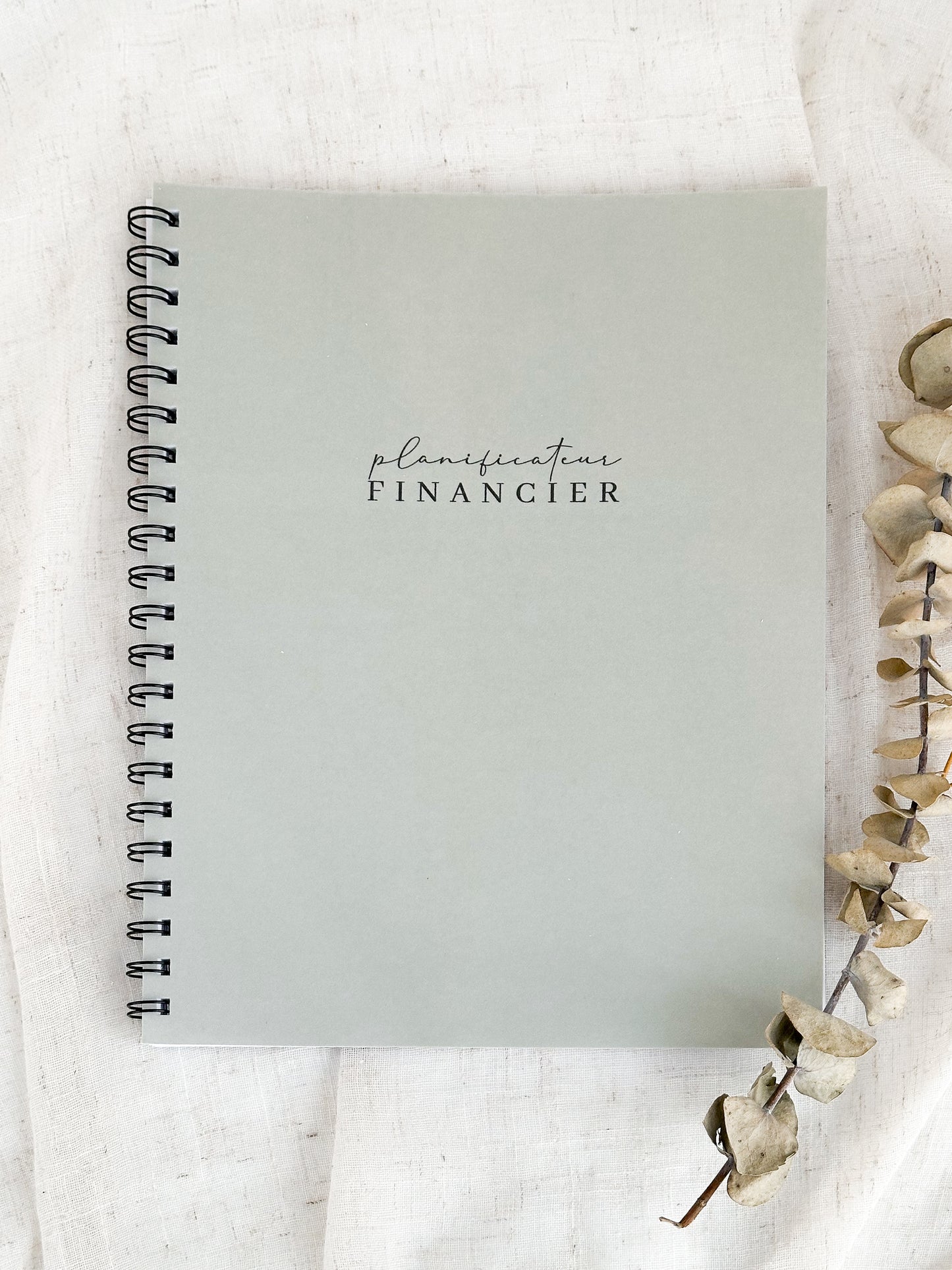 Planificateur financier Sauge | Cahier de gestion des finances personnelles et de suivi du budget