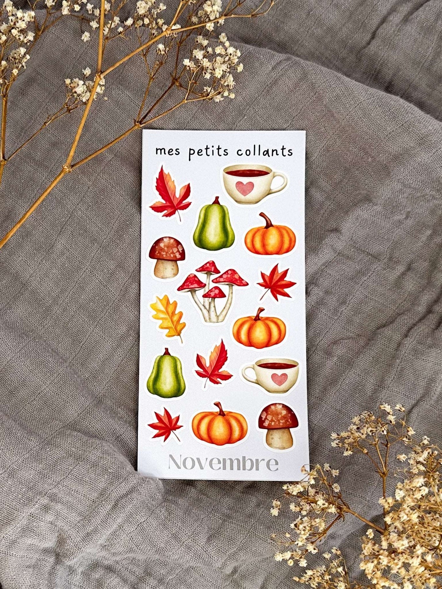 Mes petits collants édition Automne - Novembre Boutique