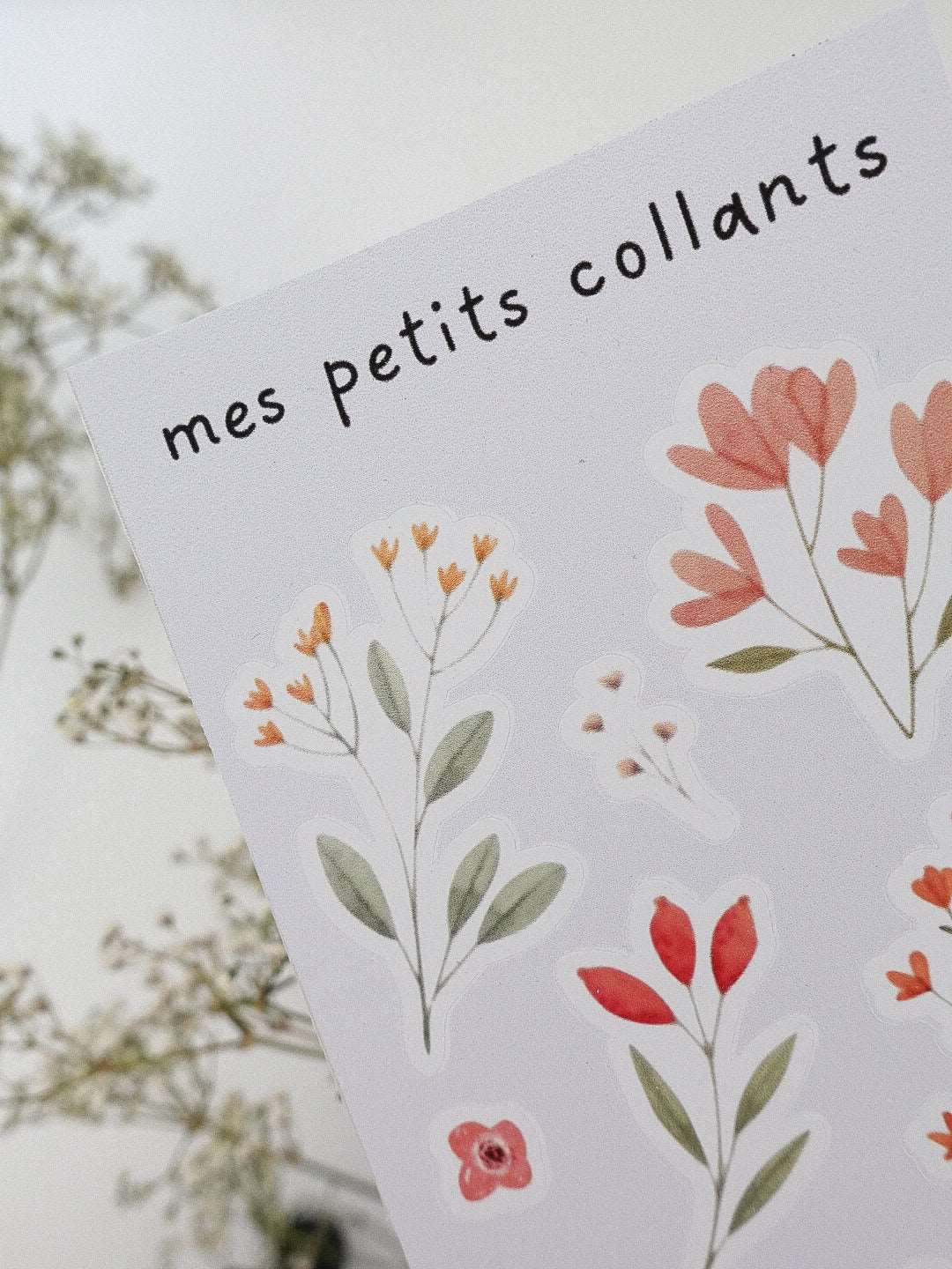 Mes petits collants édition Printemps - Novembre Boutique