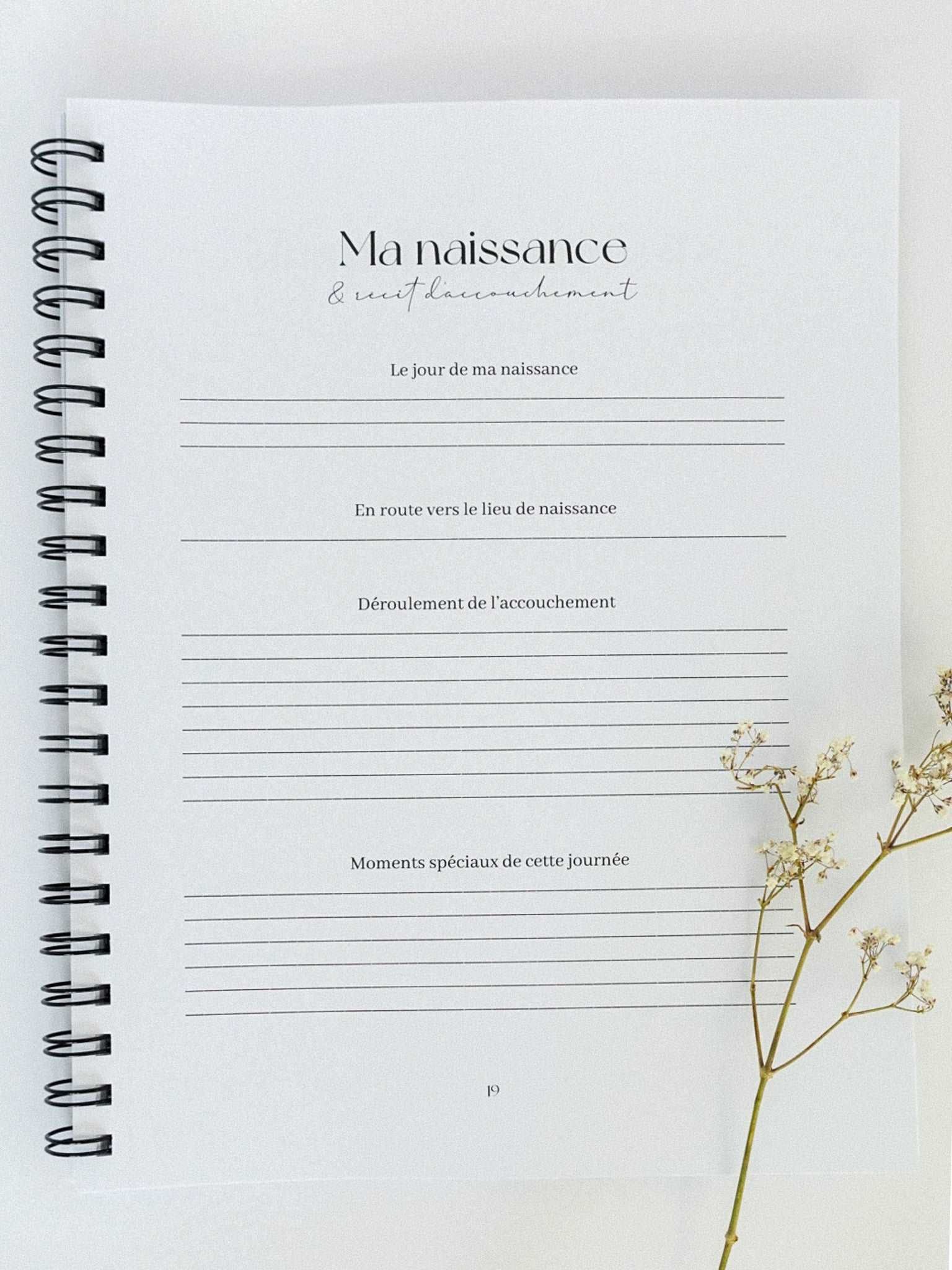 Livre de grossesse et bébé Ciel - Novembre Boutique