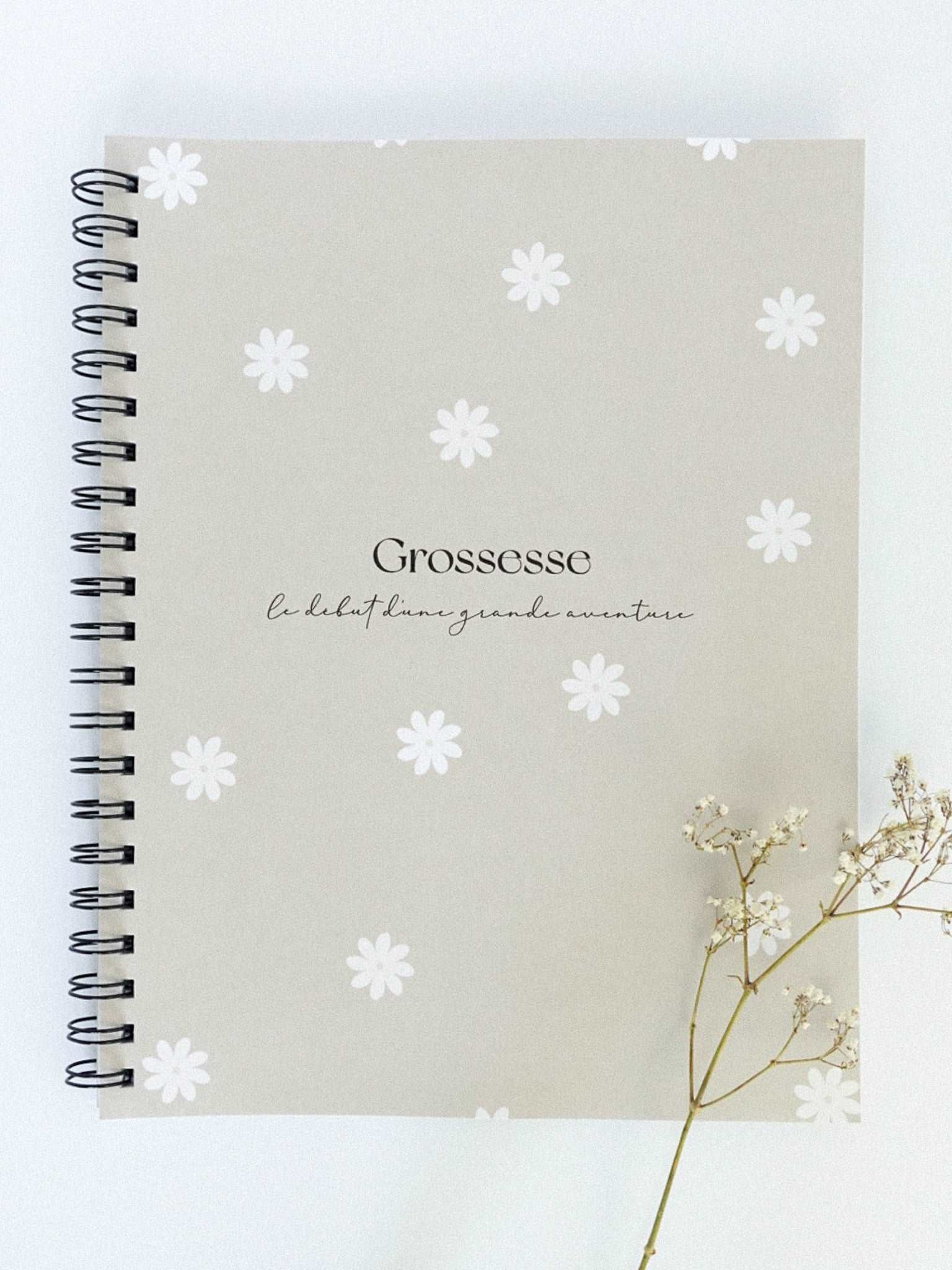 Livre de grossesse et bébé Douceur - Novembre Boutique