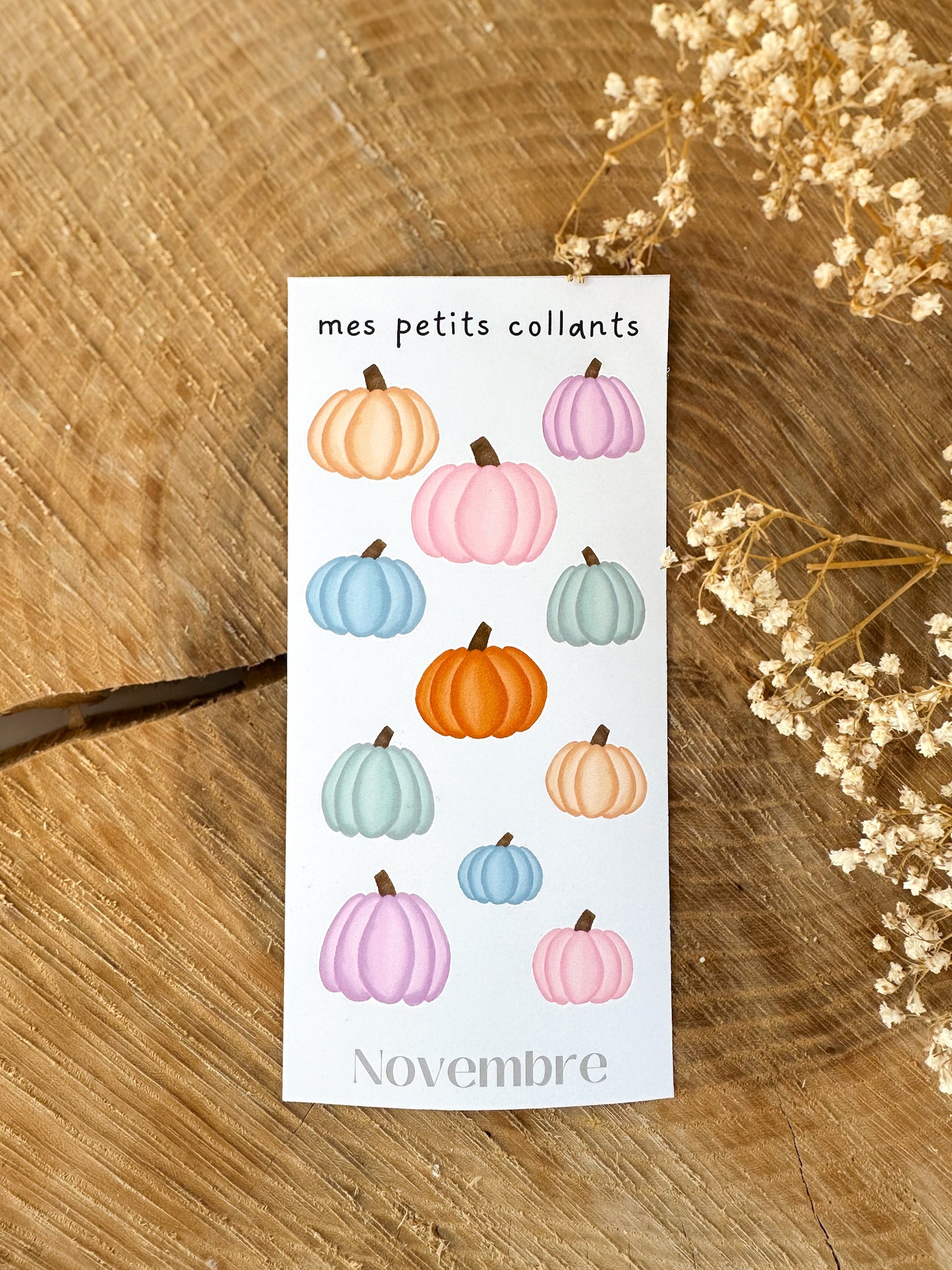 Mes petits collants édition Citrouilles Pastels