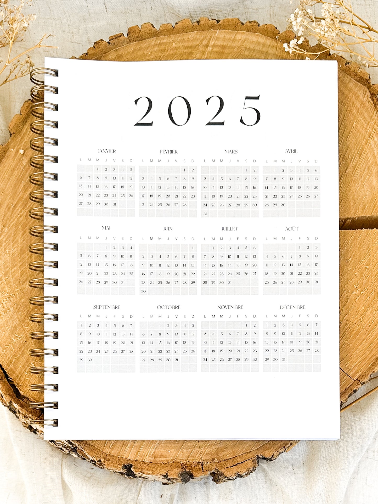 Agenda 2025 Rosie Grand Format