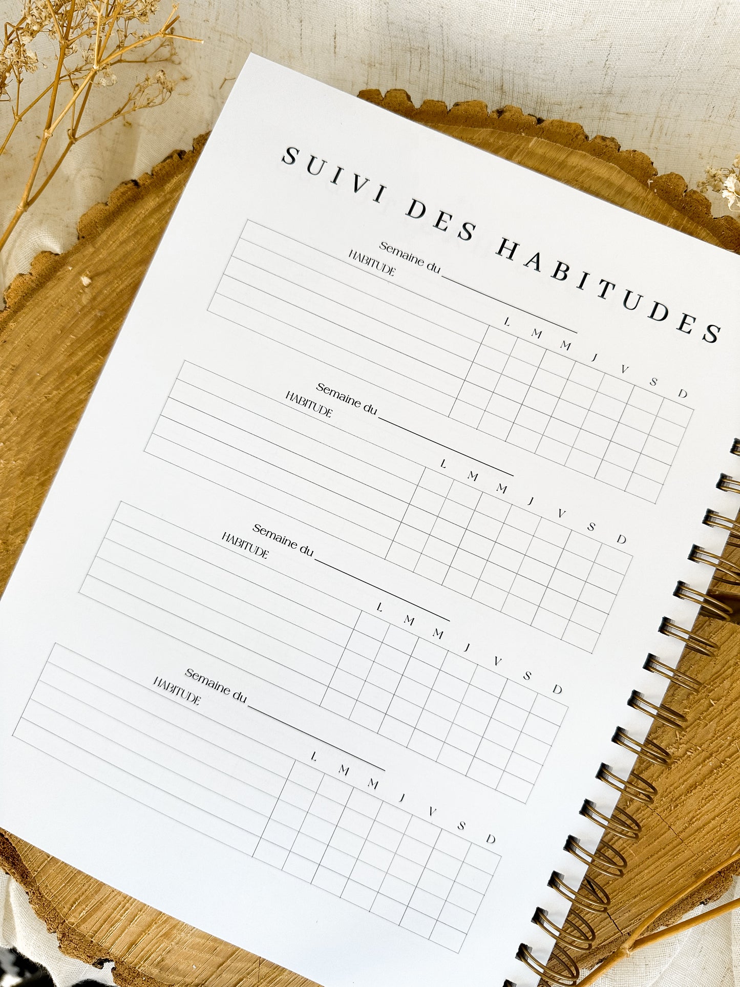 Agenda non-daté 12 mois Boréal Grand format