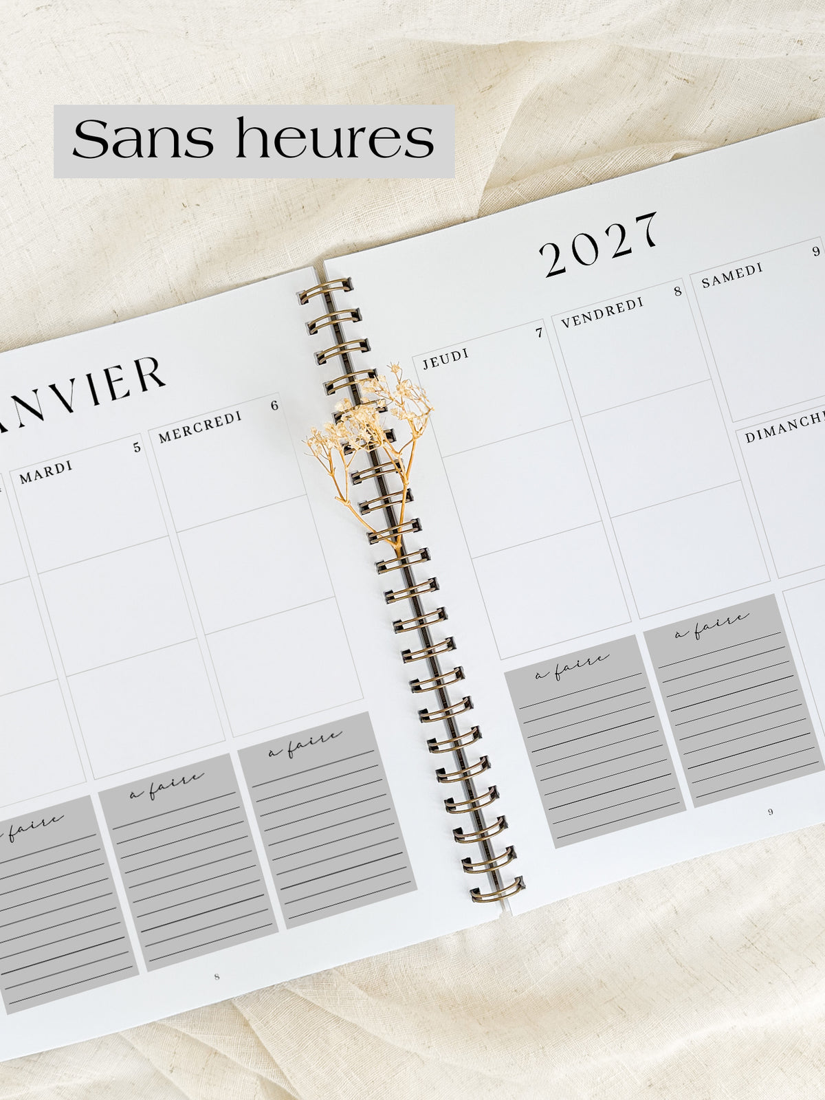 Agenda 2027 Cannelle Grand format