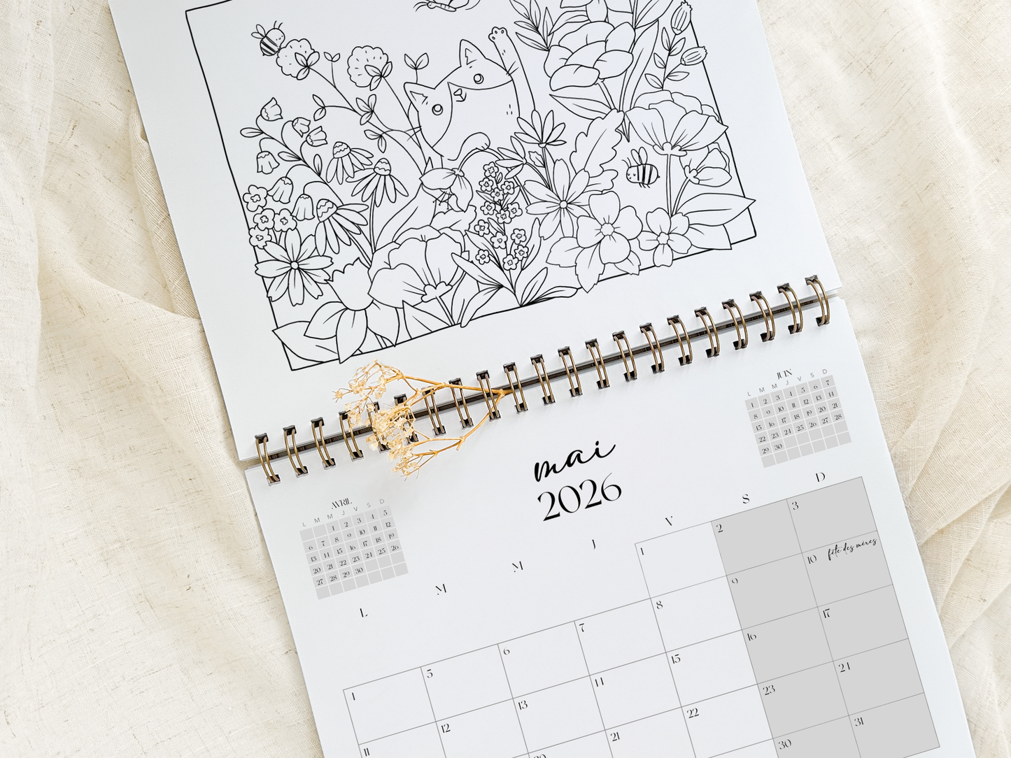 Calendrier illustré 2026 à colorier Greige