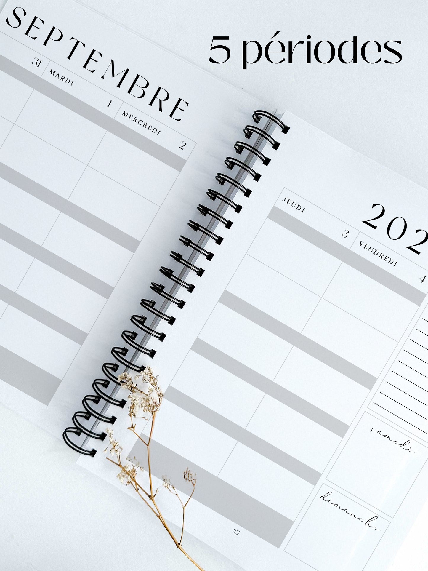Planificateur pour enseignants et personnel scolaire 2026-2027 Damier d'été
