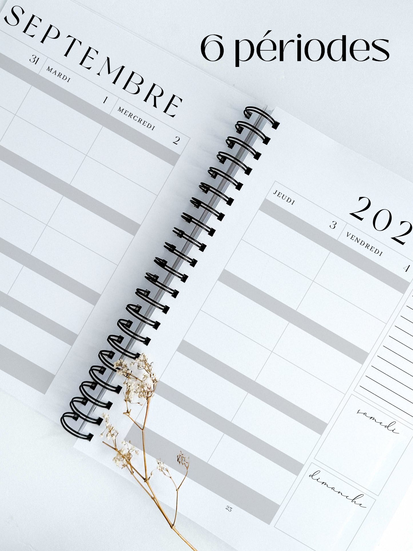 Planificateur pour enseignants et personnel scolaire 2026-2027 Damier d'été
