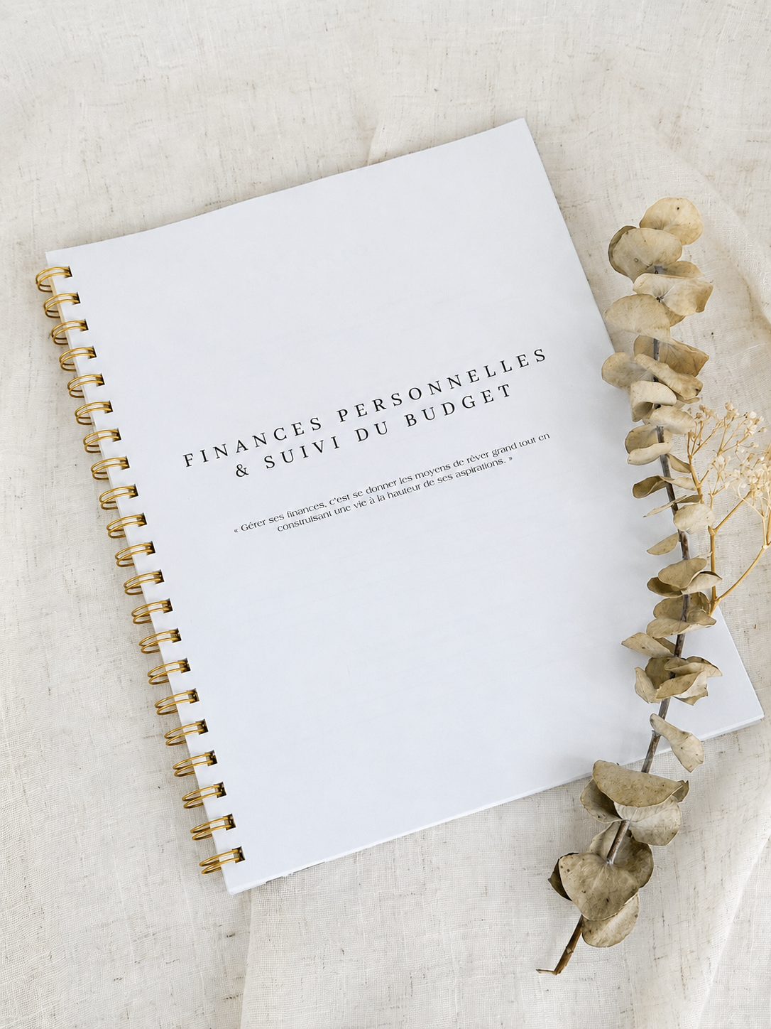 Planificateur financier Porcelaine | Cahier de gestion des finances personnelles et de suivi du budget